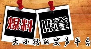 今生最新爆料新闻,当红明星感情纠葛曝光，真相令人震惊！