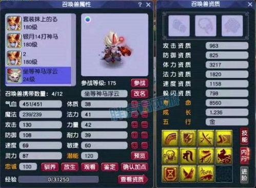 梦幻菠萝爆料攻略视频大全,全方位解析游戏技巧与策略