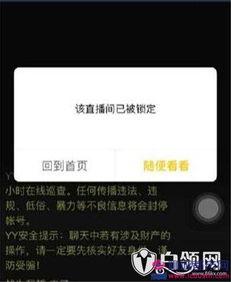 yy最新爆料视频,精彩瞬间与幕后故事大公开