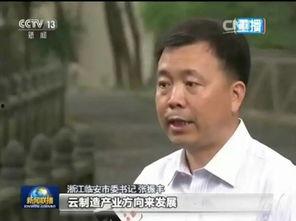 临安央视爆料事件最新,真相揭开，舆论漩涡中的正义较量