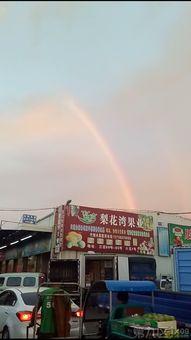 油车港最新爆料,揭秘产业新城发展新动向