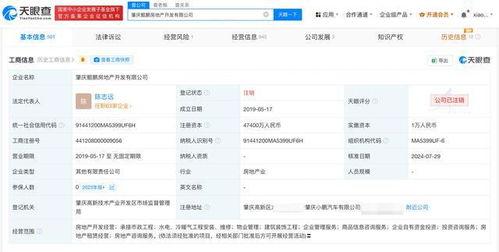 房产爆料视频大全集下载,揭秘楼市真相，深度解析房产市场动态
