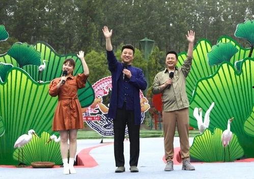 最新军需上线爆料视频下载,军需上线爆料视频深度解析