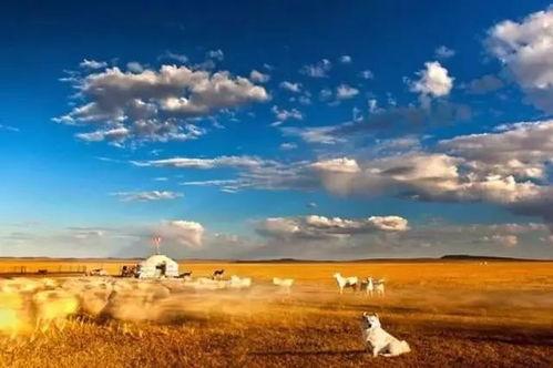 草原先生最新爆料,娱乐圈幕后真相大曝光！